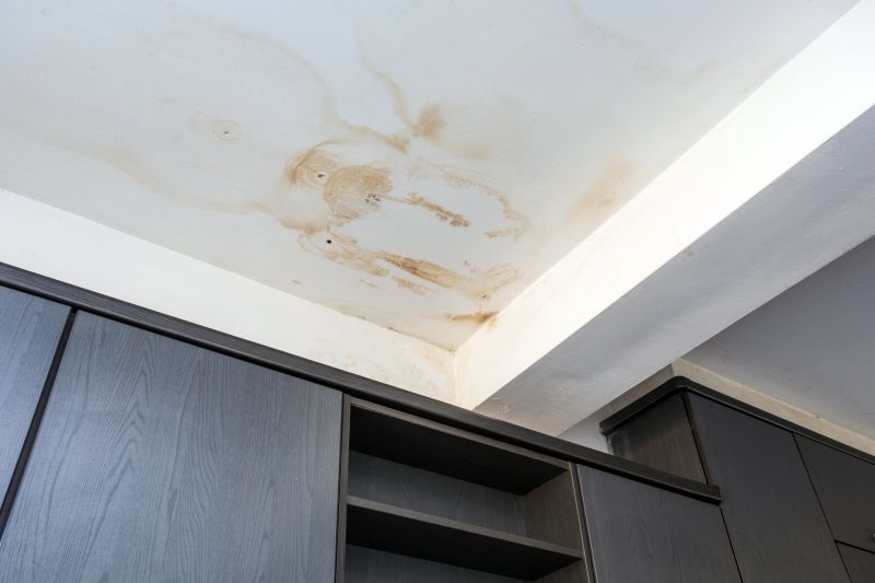 Building Damage Repair in Katy, TX